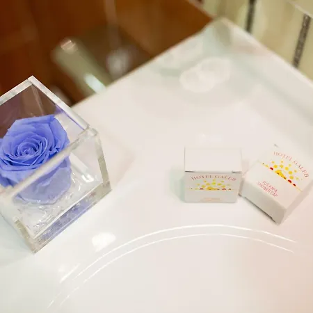 Galeb 3* 奥帕提亚