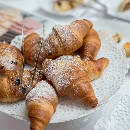 Galeb 酒店 奥帕提亚