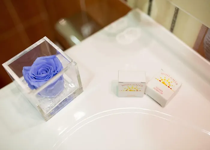 Galeb 3* Опатія